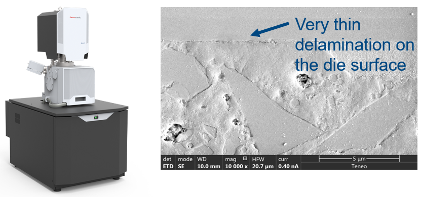 Ultra High resolution FE-SEM verification 