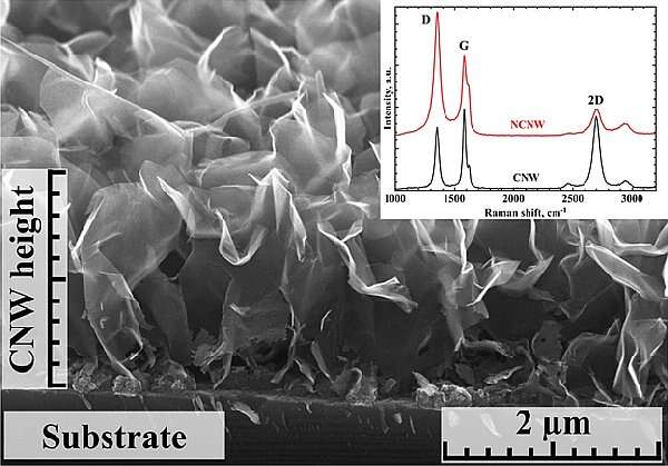 SEM image of CNW film.