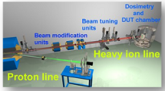 heavy ion testing