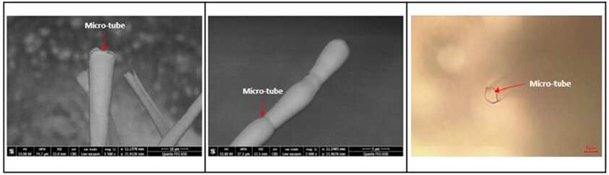 Fig4: The whiskers in question are hollow like micro-tubes. They are transparent and very brittle