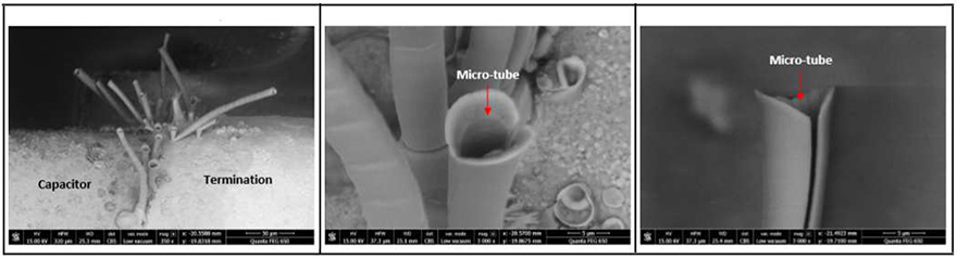 Fig5: The micro-tubes are like bamboo canes with a succession of segments. Some have their end slit on the side