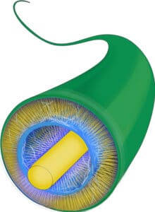 Cable-Based Capacitor (CBC)