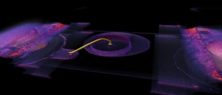 Microsection images.