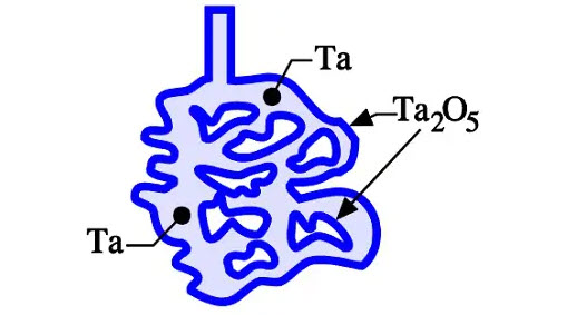 Figure 7. Schematic cross section of a sintered and formed tantalum compact