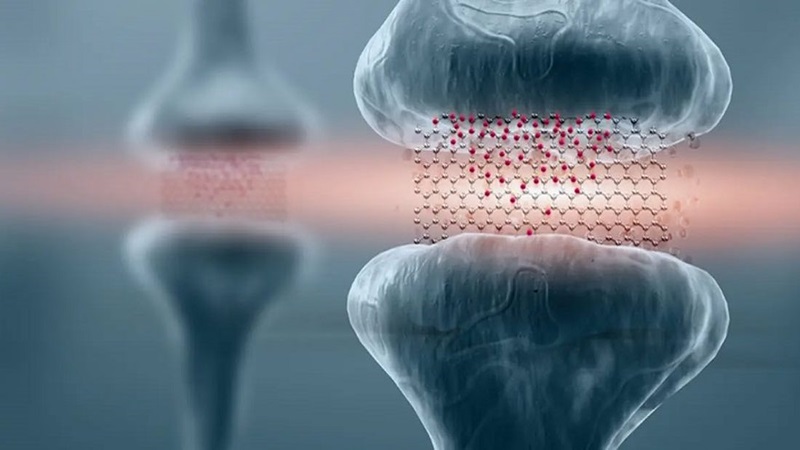 Graphene-based memristors show promise for brain-based computing