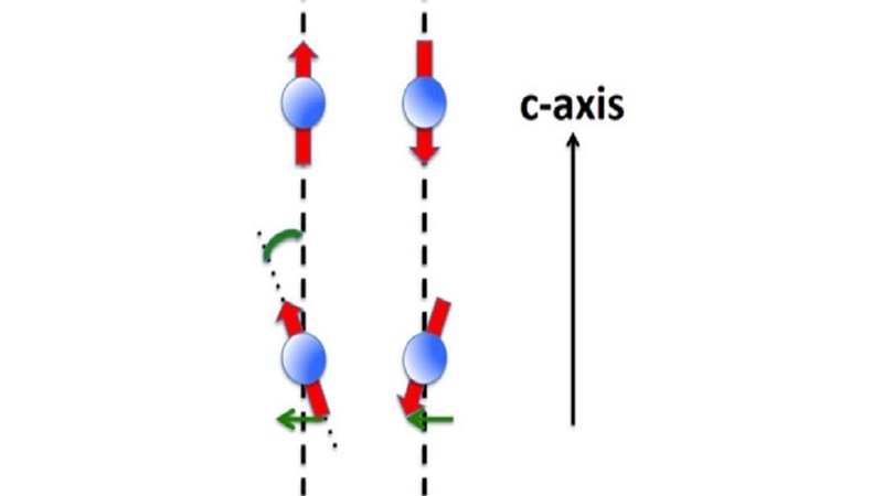 Linking quantum magnetism and topological electronics in dirac materials