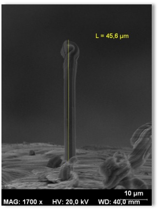SEM-tin-Results