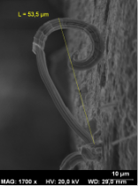 Tin-whisker-curve