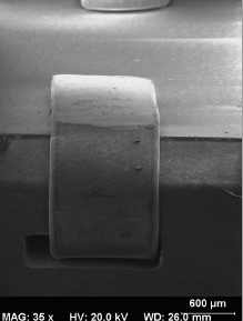visual-of-whisker