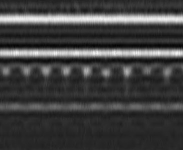 C_SAM-6-1-1