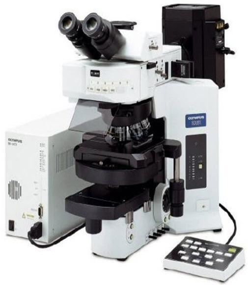 Fluorescence-microscopy