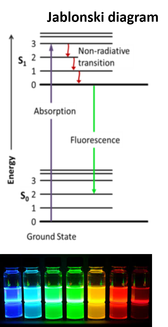 Fluorescence-microscopy
