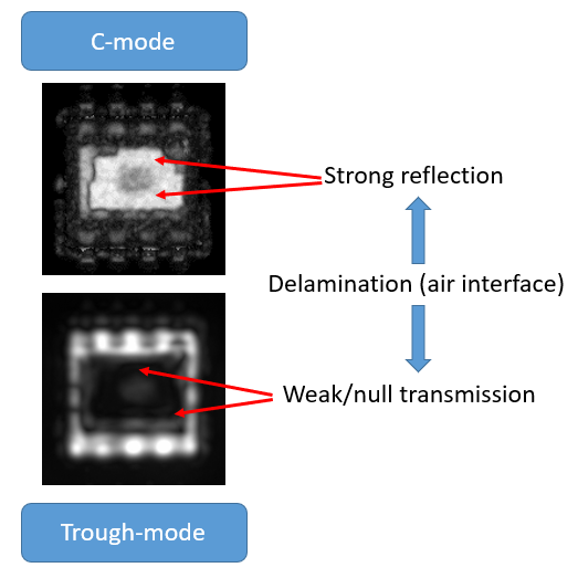 confirm-the-interpretation-of-C-SAM-findings