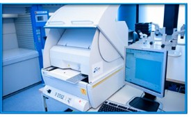 XRF-X-Ray